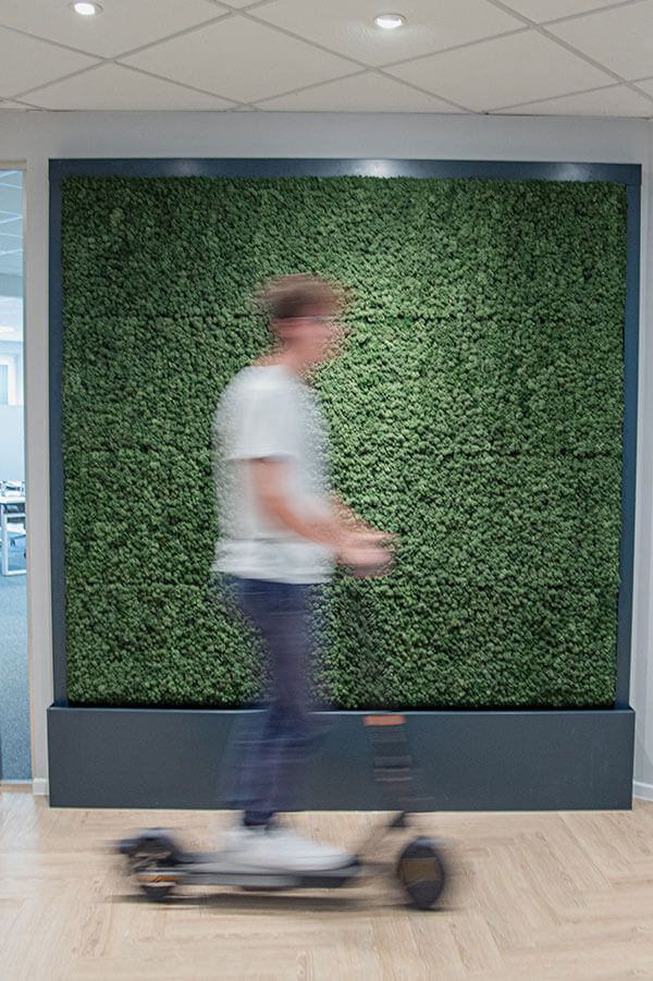 Young man rides e-scooter past moss wall